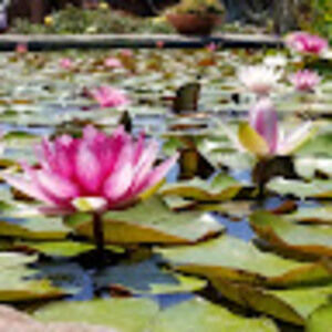 Meet your Posher, Zaida